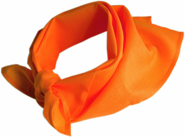 Bandana Foulard